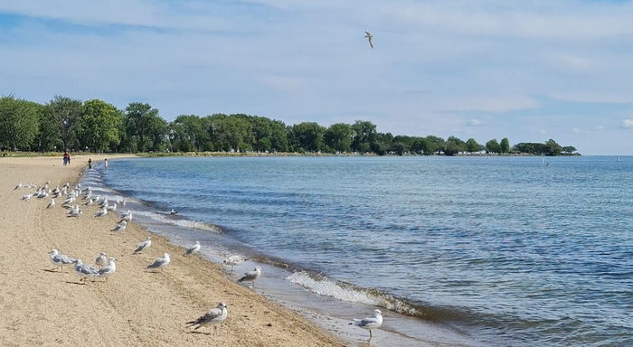 1970s blue jean patches, Metro Beach Park. Harrison Twp, Mi…